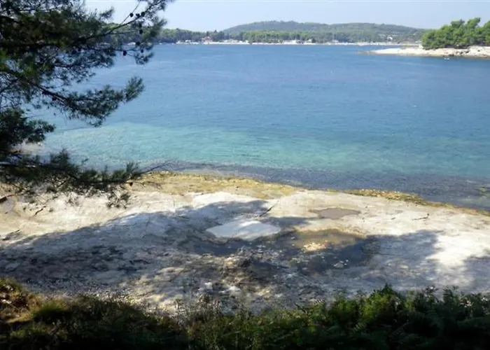 Flora Maris With A Terrace Lejlighed