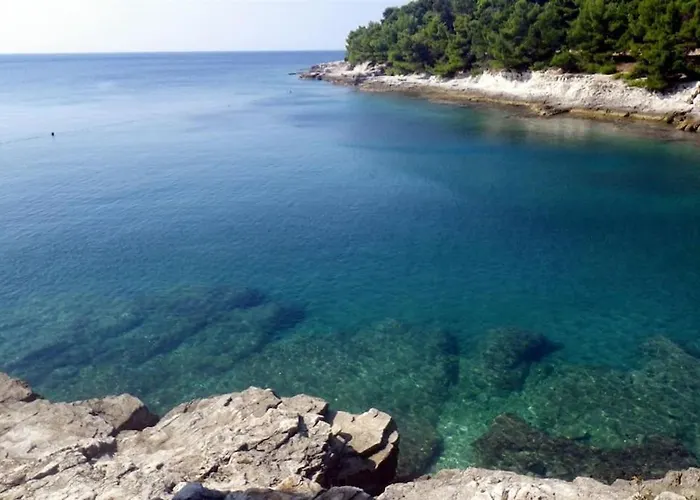 Апартаменти Flora Maris With A Terrace